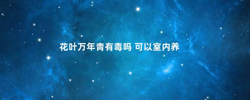 花叶万年青有毒吗 可以室内养吗